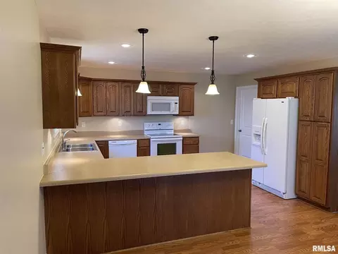 703 Legacy Dr, Herrin, IL 62948 photo 12