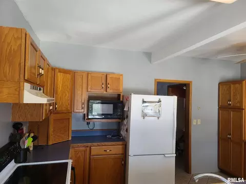 17809 Chase Rd, Fulton, IL 61252 photo 3