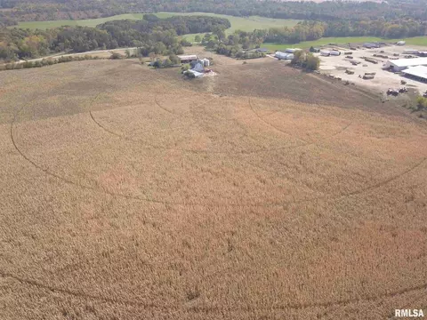 17809 Chase Rd, Fulton, IL 61252 photo 17