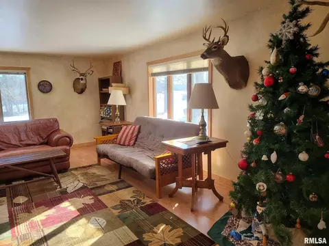 17809 Chase Rd, Fulton, IL 61252 photo 5
