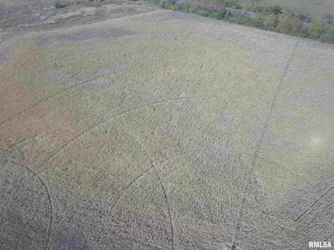 17809 Chase Rd, Fulton, IL 61252 photo 27
