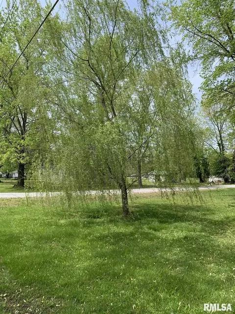 1004 E Market St, Christopher, IL 62822 photo 8