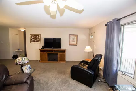 404 9th Ave, Fulton, IL 61252 photo 24