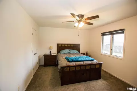 404 9th Ave, Fulton, IL 61252 photo 15