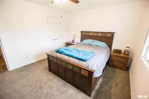 404 9th Ave, Fulton, IL 61252 photo 18