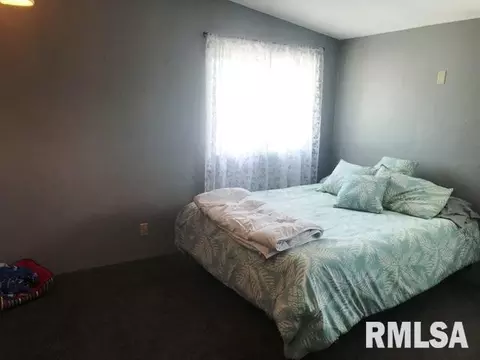 316 E Mcclure St, Kewanee, IL 61443 photo 16
