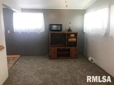 316 E Mcclure St, Kewanee, IL 61443 photo 13
