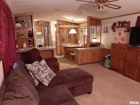 516 Tower Rd, Herrin, IL 62948 photo 17
