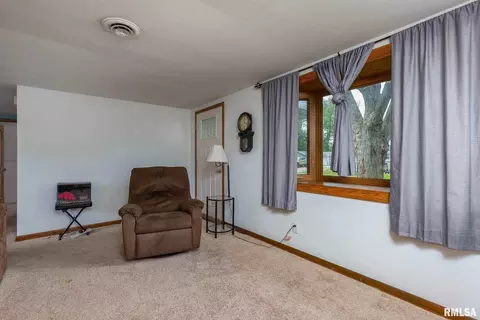 607 14th Ave, Hampton, IL 61256 photo 5
