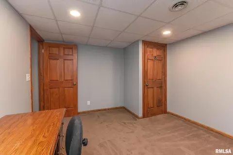 7 Pine Tree Ct, Kewanee, IL 61443 photo 20