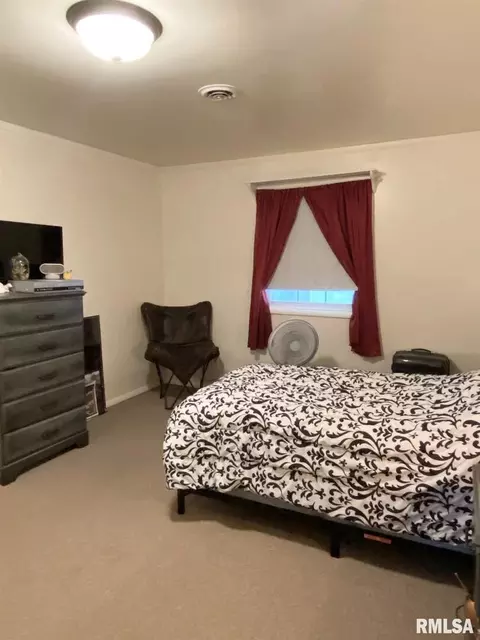 1011 Roberta Dr, Murphysboro, IL 62966 photo 9