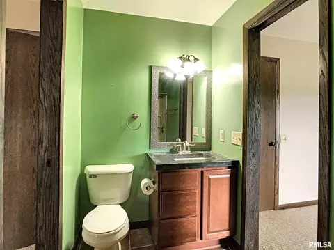 3 Skona Lk, Alpha, IL 61413 photo 11