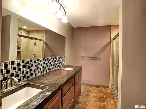 3 Skona Lk, Alpha, IL 61413 photo 8