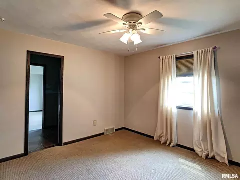 3 Skona Lk, Alpha, IL 61413 photo 13