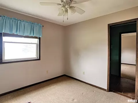 3 Skona Lk, Alpha, IL 61413 photo 10
