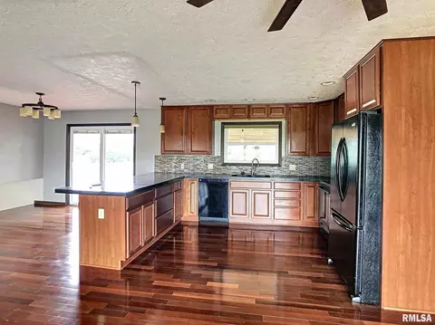 3 Skona Lk, Alpha, IL 61413 photo 2