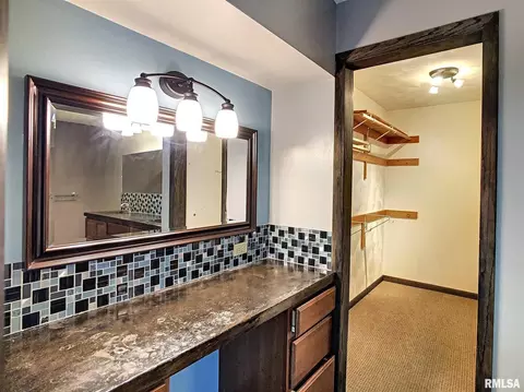 3 Skona Lk, Alpha, IL 61413 photo 9
