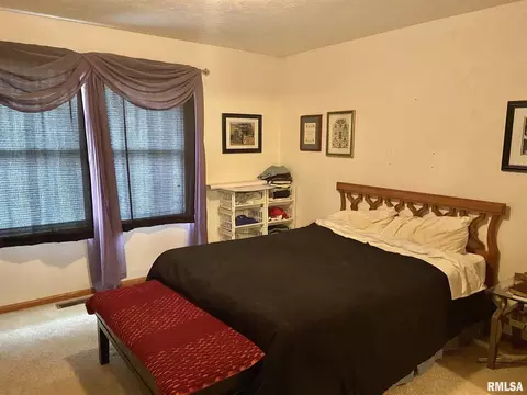525 3rd Ave, Hampton, IL 61252 photo 8
