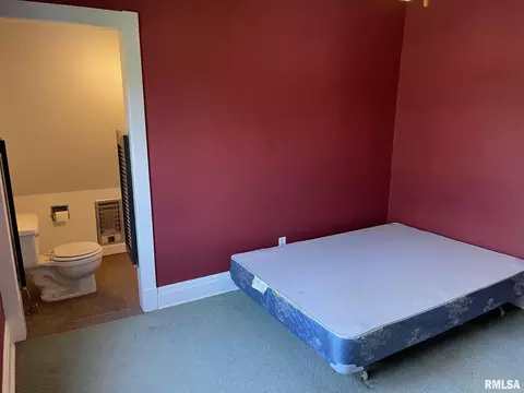 203 N Park St, Alpha, IL 61413 photo 12