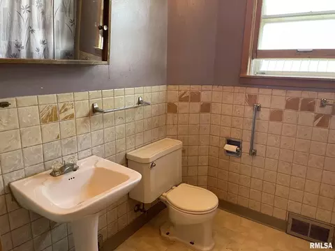 203 N Park St, Alpha, IL 61413 photo 10