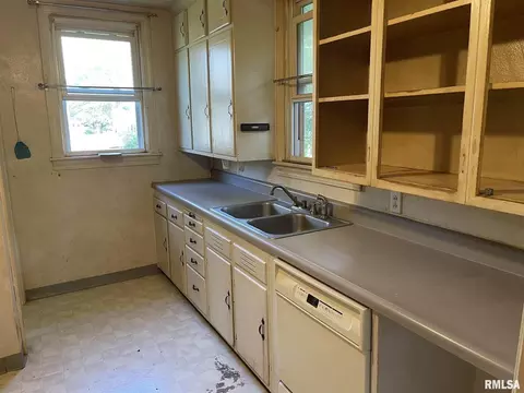 203 N Park St, Alpha, IL 61413 photo 8