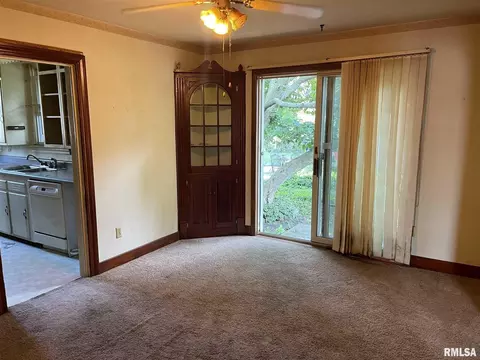 203 N Park St, Alpha, IL 61413 photo 5