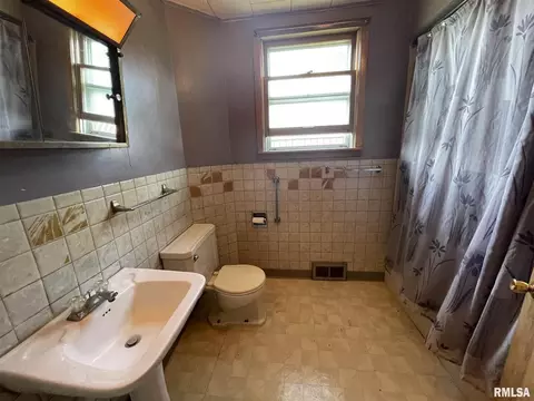203 N Park St, Alpha, IL 61413 photo 9