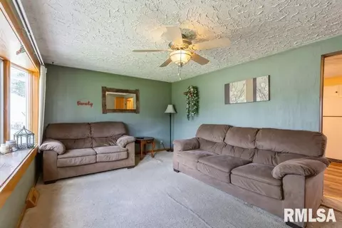 1 Willow Ct, Andover, IL 61233 photo 4