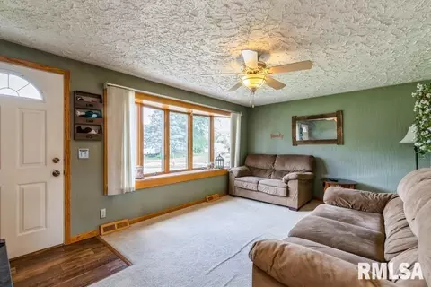 1 Willow Ct, Andover, IL 61233 photo 2