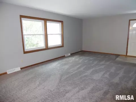 502 14th Ave, Fulton, IL 61252 photo 4