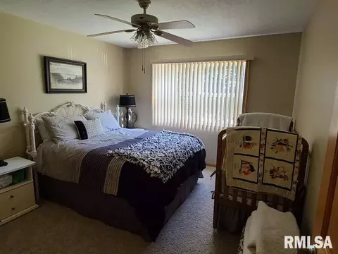 609 16th Pl, Fulton, IL 61252 photo 18