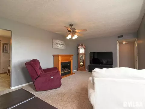 2684 170th Ave, Preemption, IL 61276 photo 10
