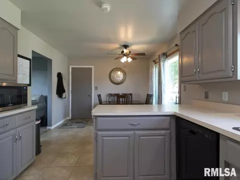 2684 170th Ave, Preemption, IL 61276 photo 5