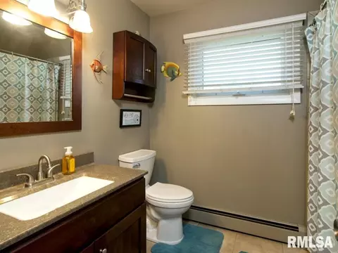 2684 170th Ave, Preemption, IL 61276 photo 13