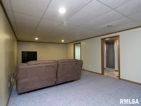 2684 170th Ave, Preemption, IL 61276 photo 19