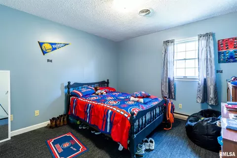 2209 Melanie Ln, Marion, IL 62959 photo 19