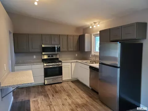 206 W Spring St, Eldridge, IA 52748 photo 3