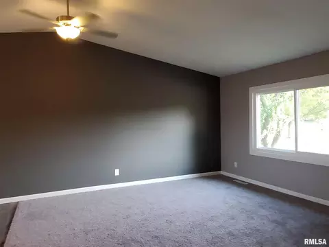 206 W Spring St, Eldridge, IA 52748 photo 8