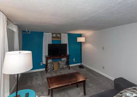 1507 Maple Ln, Moline, IL 61265 photo 22