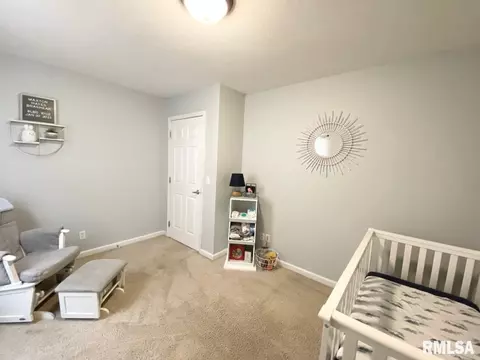 411 Hoffman Rd, Murphysboro, IL 62966 photo 17