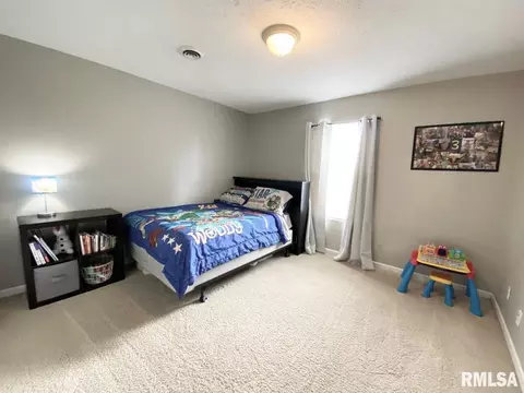 411 Hoffman Rd, Murphysboro, IL 62966 photo 15