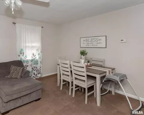 217 3rd Ave E, Milan, IL 61264 photo 7