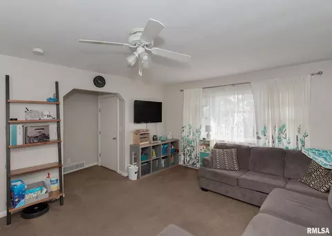217 3rd Ave E, Milan, IL 61264 photo 5