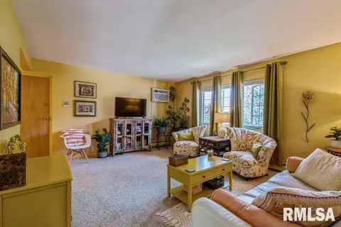 940 17th St #4, Moline, IL 61265 photo 3