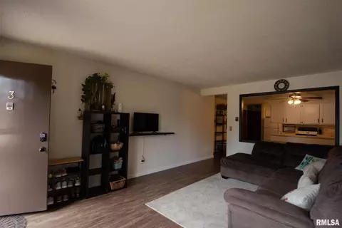 507 Jenkran St #3, Morrison, IL 61270 photo 3