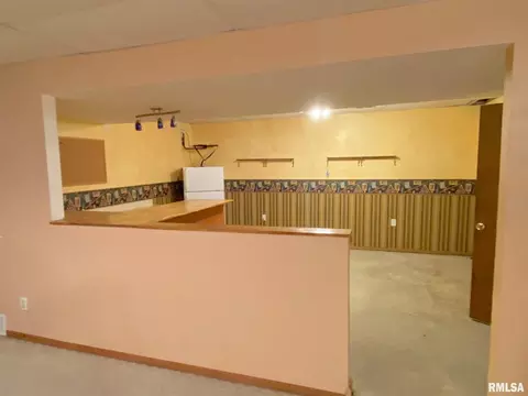 910 Pluto St, Geneseo, IL 61254 photo 29
