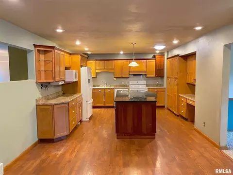 910 Pluto St, Geneseo, IL 61254 photo 9