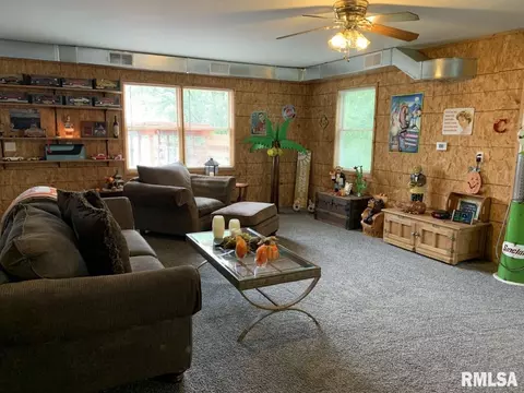 811 NE 3rd Ave, Galva, IL 61434 photo 9