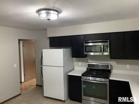 3015 11th Ave, Moline, IL 61265 photo 5
