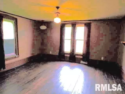 1101 Main St, Keithsburg, IL 61442 photo 10